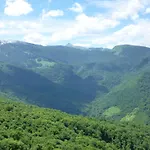Les De La Forêt D'issaux *