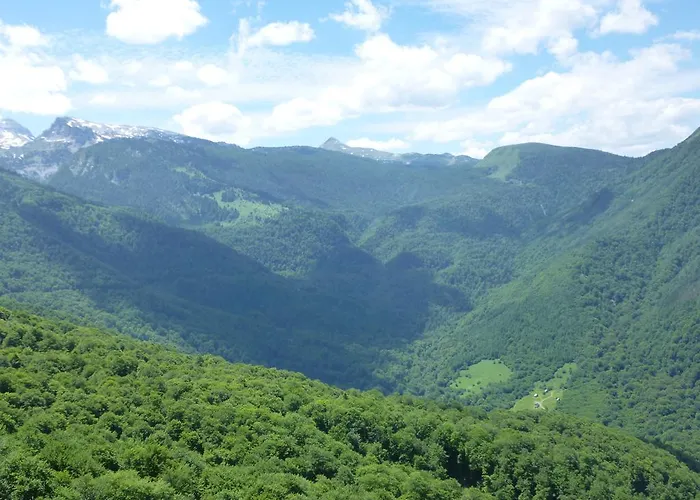 Les De La Foret D'issaux *