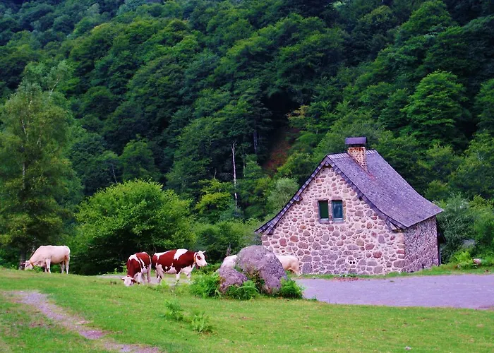 Les De La Foret D'issaux